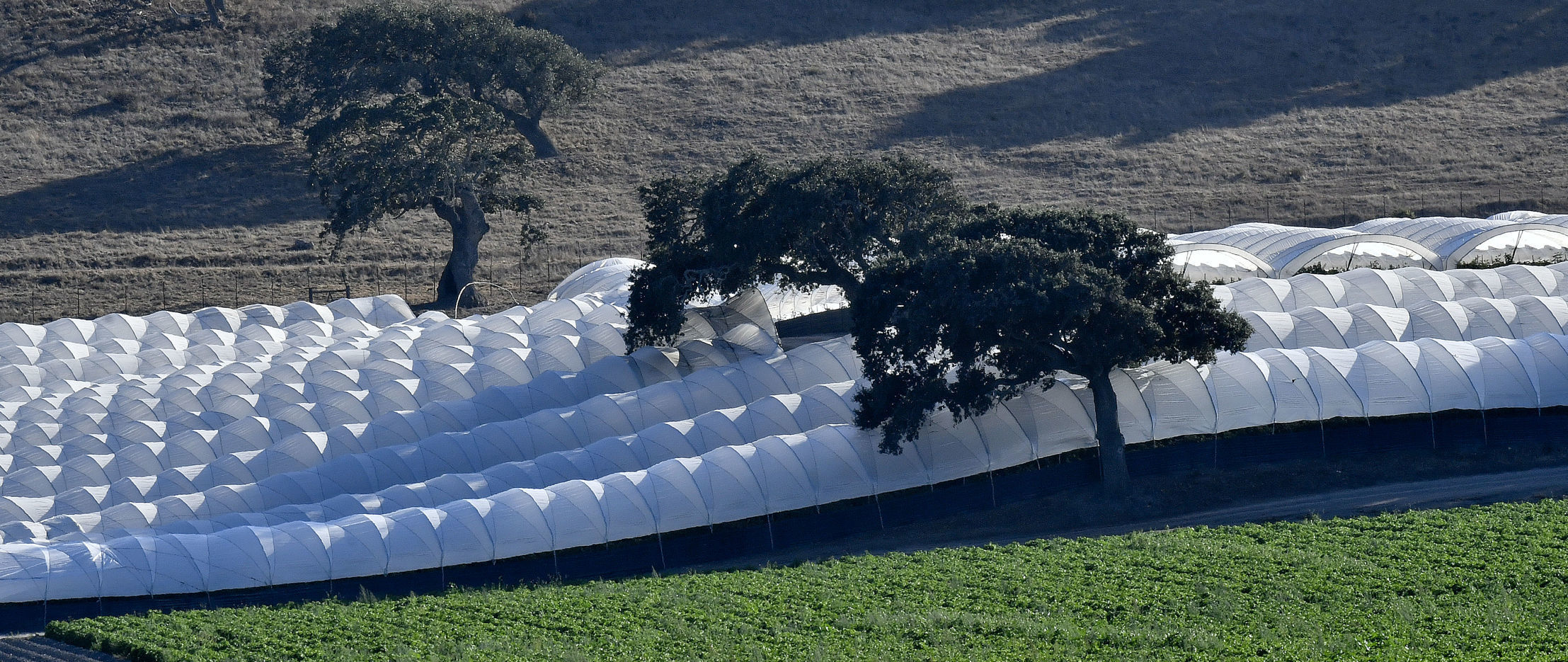 Los Alamos Hoop HOuses